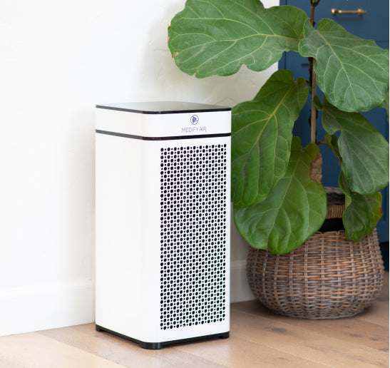 an air purifier next to a plant